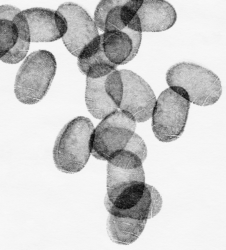 Tree Thumb (Sounds Like Freedom) crop